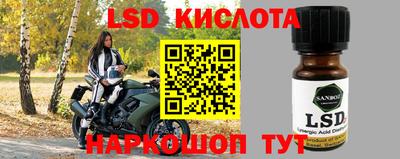 спиды Дубна