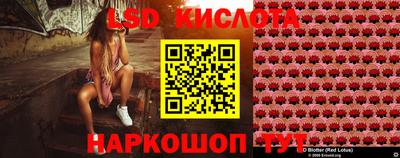 спиды Дубна