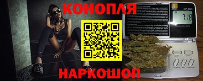 спиды Дубна