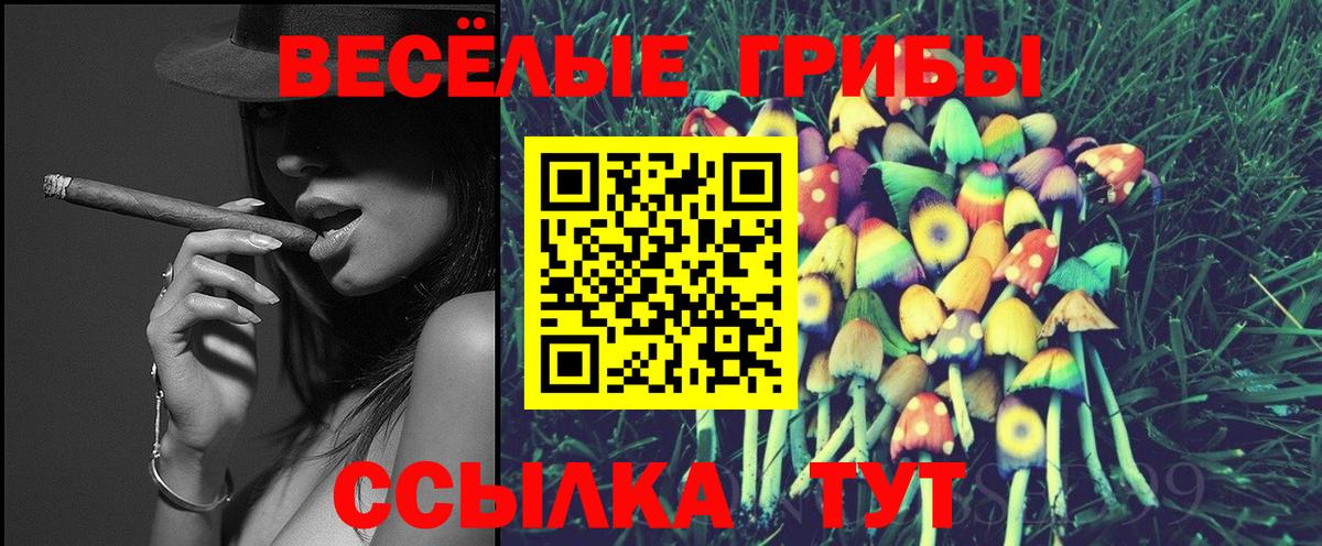 Бирск  Псилоцибиновые грибы ЛСД  Вход с VPN  Галлюциногенные грибы Cubensis 